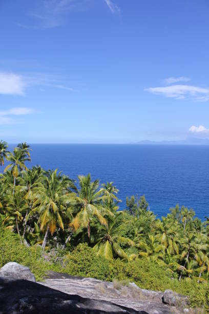 istock private island tropical beach 1150491072