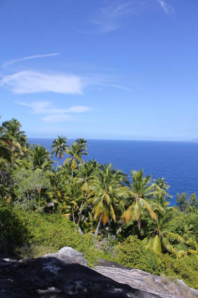 istock private island tropical beach 1150491074