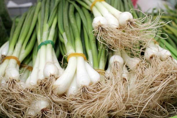 istock Fresh green salad onion 1150491991