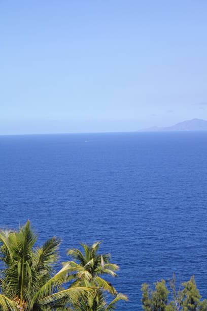 istock private island tropical beach 1150492411