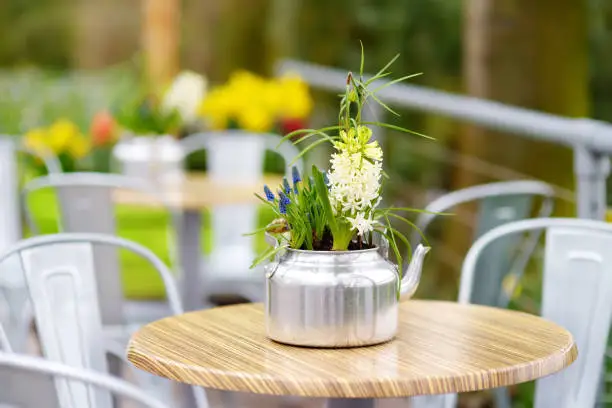 Photo of Stylish outdoor cafe at spring time