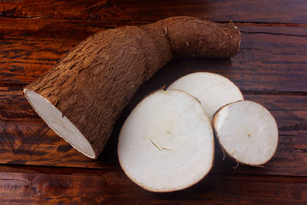 istock Organic cassava (mandioca, manioc, aipim, brazilian cuisine), fresh and raw on rustic wooden table 1150495977