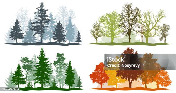 Forest Trees Winter Spring Summer Autumn 4 Seasons Vector Illustration Stock Illustration - Download Image Now