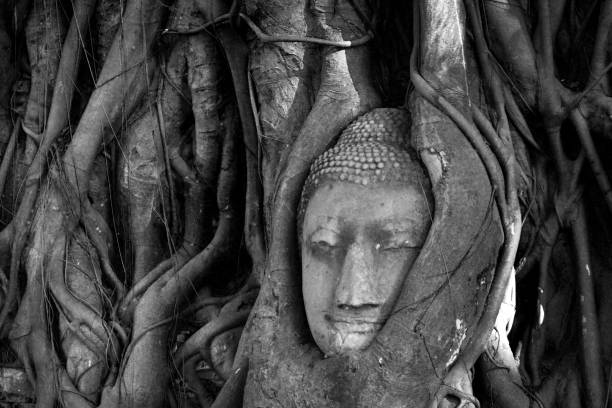 istock Thailand, Ayutthaya. Old tree Buddha stone sculpture. Wisdom and pray 1150497531