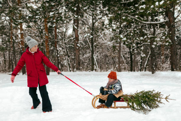 istock Delivering Christmas tree home home by sleigh 1150497566
