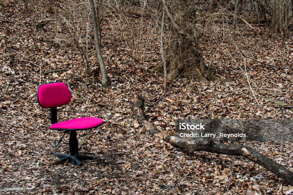 Ein verlassener Bürostuhl durch einen gefallenen Gliedmaßen oder eine Zweigstelle in einem Waldwald. - Lizenzfrei Ohne Zusammenhang Stock-Foto