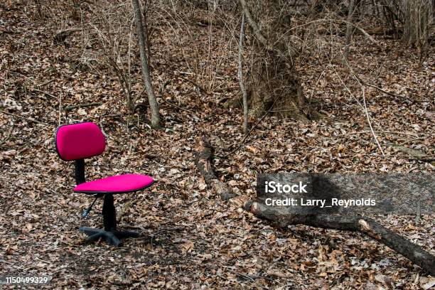 Ein Verlassener Bürostuhl Durch Einen Gefallenen Gliedmaßen Oder Eine Zweigstelle In Einem Waldwald Stockfoto und mehr Bilder von Ohne Zusammenhang