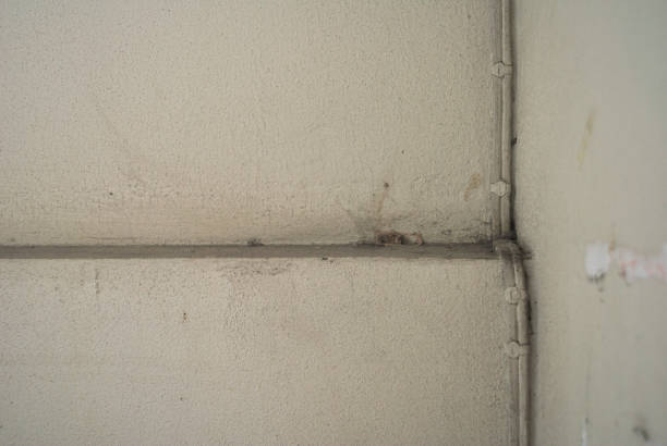 istock Power cord installed in the apartment wall 1150500578