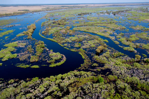 istock Kissimmee River Florida 1150502239