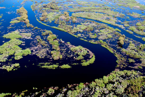 istock Kissimmee River Florida 1150502308