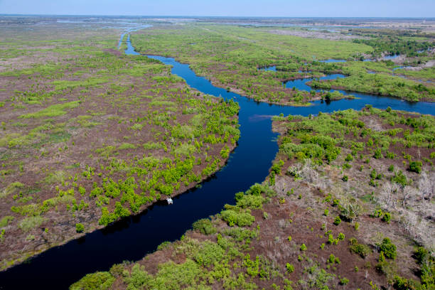 istock Kissimmee River Florida 1150502678