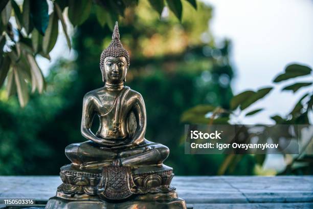 Small Golden Buddha Statue Surrounded By Green Leaves Stock Photo -  Download Image Now - iStock