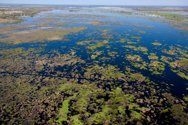 istock Kissimmee River Florida 1150503464