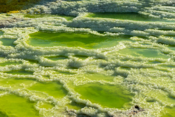 Acid ponds in Dallol site in the Danakil Depression in Ethiopia, Africa Acid ponds in Dallol site in the Danakil Depression in Ethiopia in Africa dallol ethiopia stock pictures, royalty-free photos & images