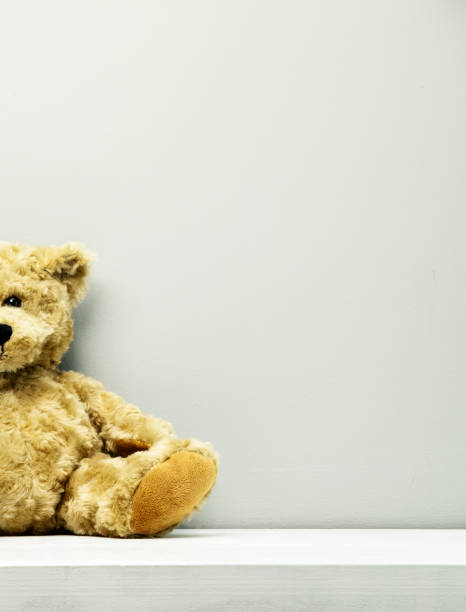 istock Half of a Small Teddy Bear Toy 1150504544