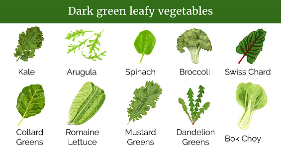 Big icon set of popular culinary green leafy vegetables, herbs. Spinach, Dandelion green, Mustard, Romaine Lettuce, kale, Collard. For cooking, cosmetics, health care, tag design broccoli spinach