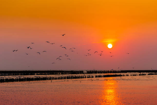 istock Sunset over the sea 1150506445