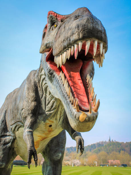 istock A model of T-rex dinosaur 1150507789