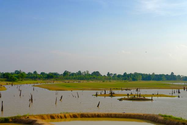 istock landscape with lake and blue sky 1150509180