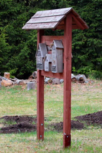 istock Insect hotel in a forest 1150510483