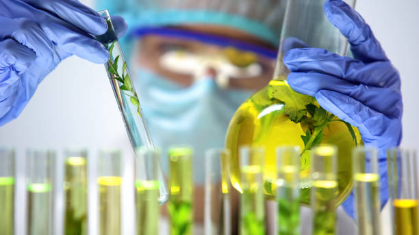 istock Researcher comparing plants in test tube and flask, genetic breeding experiment 1150510885