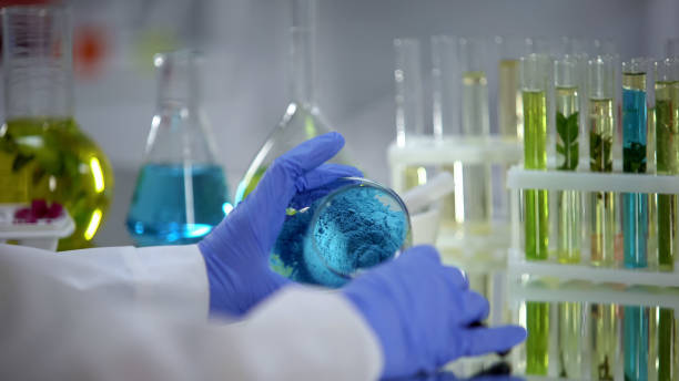 ученый изучает синий порошок, глядя через увеличительное стекло, пестициды - nature scientist petri dish science стоковые фото и изображения