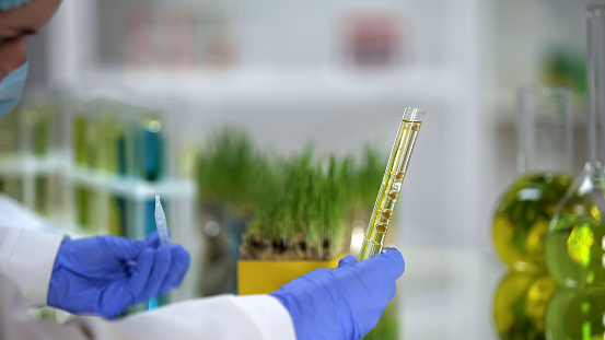 Chemist adding liquid in tube with plant extract, biofuel production, ecology