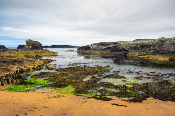 paesaggio drammatico del litorale di ballintoy harbor in irlanda del nord - scenics coastline uk moss foto e immagini stock