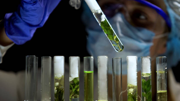 istock Female researcher analyzing test reaction, organic cosmetics, aromatherapy 1150512108