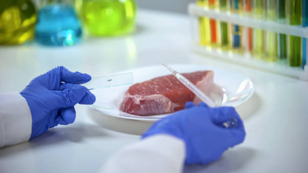 istock Scientist conducting meat quality test, dripping liquid on glass, asf outbreak 1150512224
