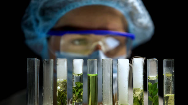 chemik sprawdza reakcję w rurach z roślinami, rozwój paliwa alternatywnego - extraction fossil fuels zdjęcia i obrazy z banku zdjęć