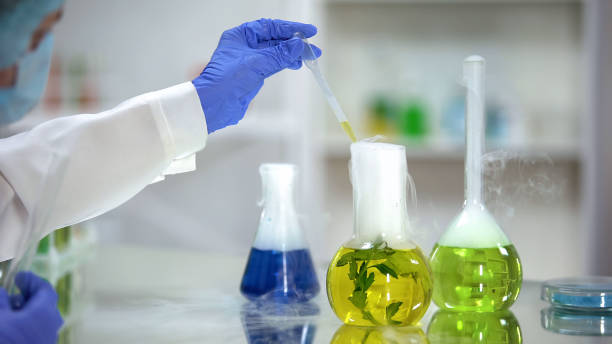 istock Chemist taking organic liquid sample from flask with plant, dermatology extract 1150512270