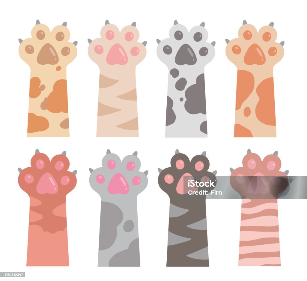 Cute Cartoon Style Vector Drawings Of Cat Arms And Paws With Extended Claws  In Different Fur Colors Stock Illustration - Download Image Now - iStock