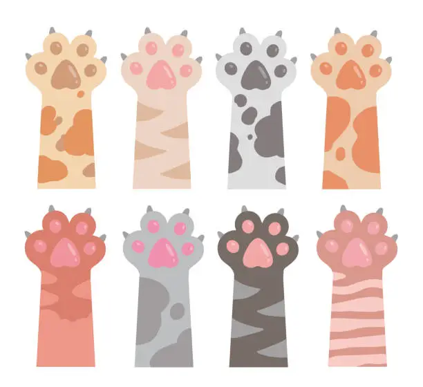 Vector illustration of Cute cartoon style vector drawings of cat arms and paws with extended claws in different fur colors