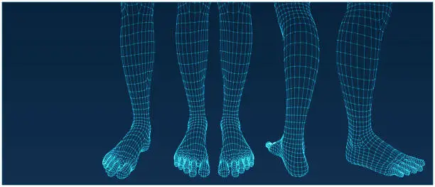 Vector illustration of Three dimensional feet. Set. Ware mesh from 3d app.