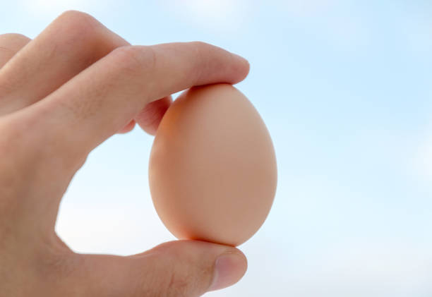 istock Egg in hand at the background of the sky 1150514063