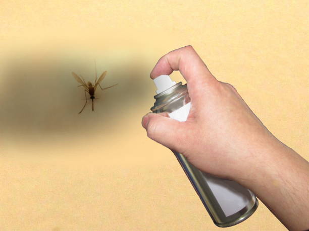 istock Mosquito and insecticide 1150516164