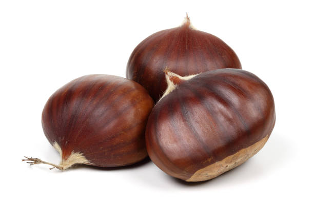 chestnuts isolated on white background - chestnut imagens e fotografias de stock