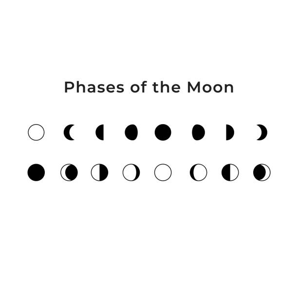 3,200+ Moon Phases Cycle Illustrations, Royalty-Free Vector Graphics ...