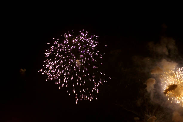 Colorful firework in the black night sky
