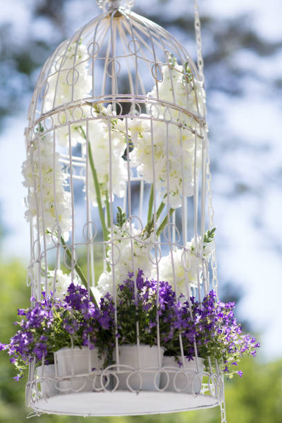 istock Wedding decor with lilac flowers and white cages 1150518217