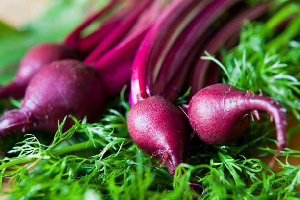 istock Young Beetroot red vegetable with beet green - leaves for fresh spring salad. 1150519513