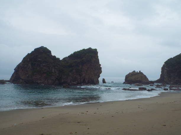 istock Kyushu Miyazaki Nichinan Ume seaside drone 1150521699