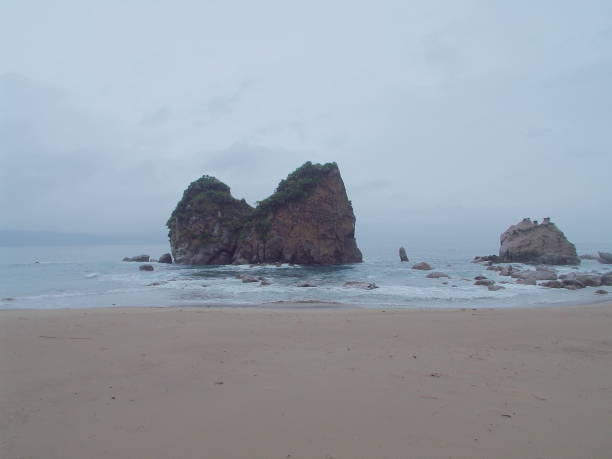 istock Kyushu Miyazaki Nichinan Ume seaside drone 1150522369