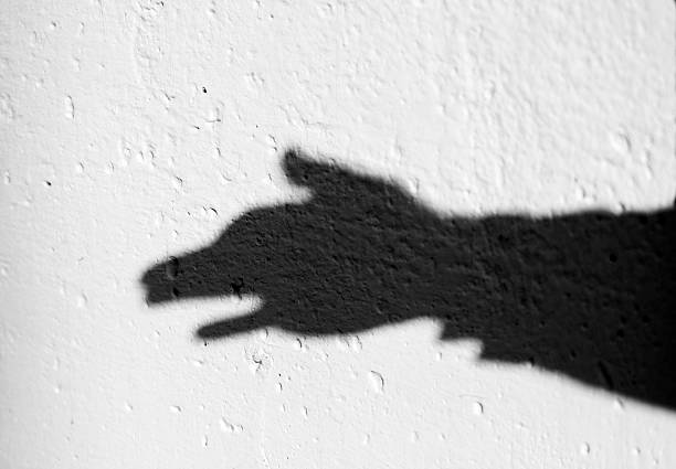 istock Shadow of animal 115052256