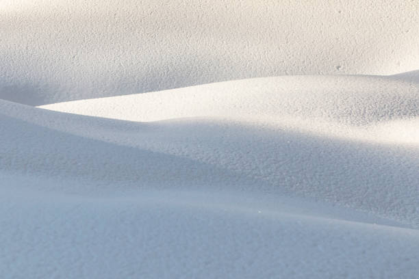 istock pattern of snow in the Sequoia national park 1150523023