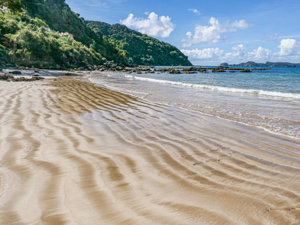 istock rippled beach at Wharakiki 1150524016