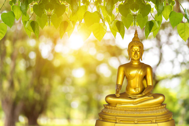 istock Buddha statue, blurred background, Visakha Puja Day 1150526026