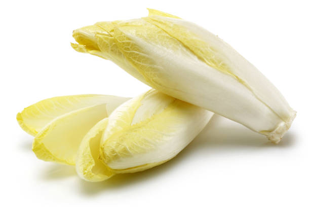 Fresh endive isolated on white Fresh endive isolated on white background chicory stock pictures, royalty-free photos & images
