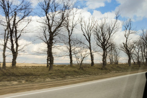 Crimean views from the car window at the junction of winter and spring.